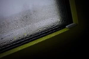 disc, wet, shower-4602515.jpg