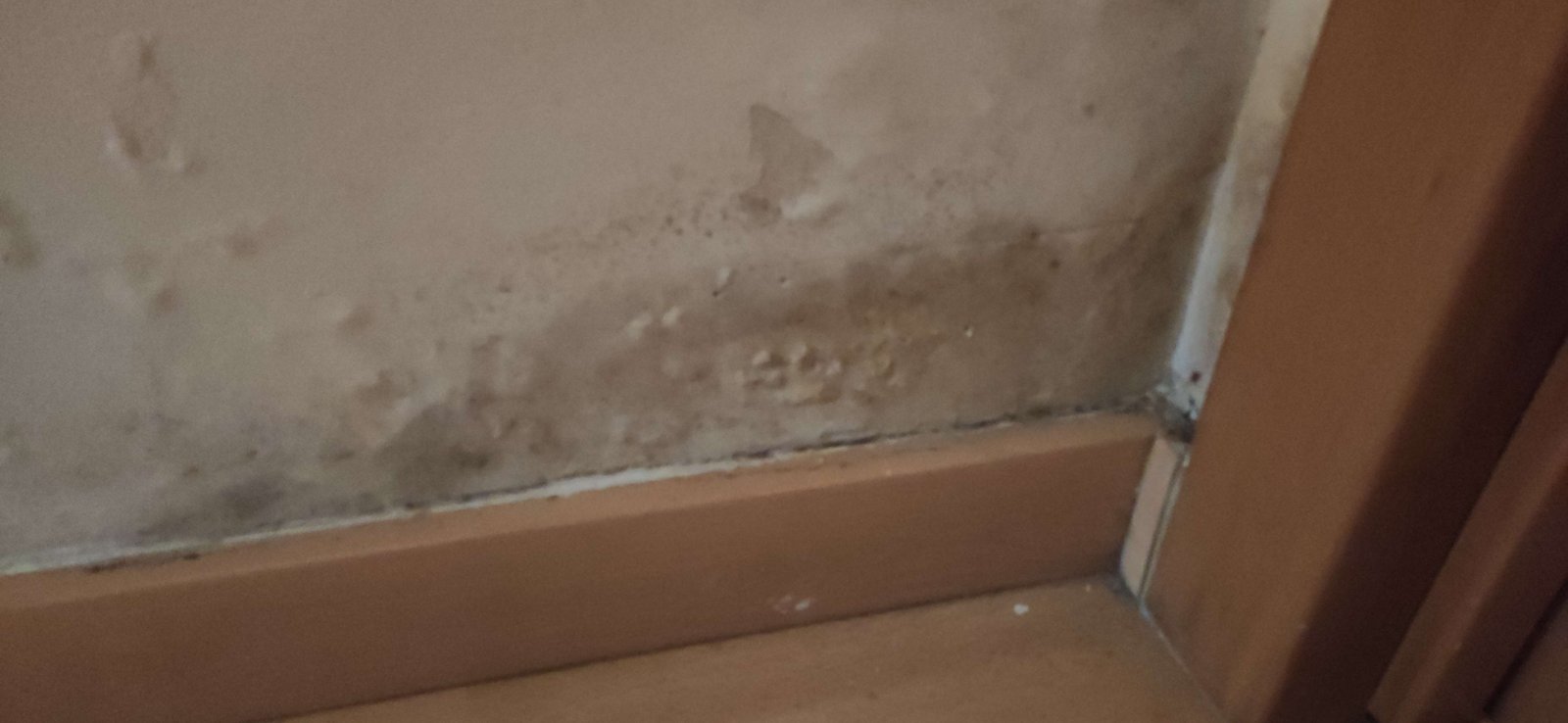 Daños visibles relacionados con la humedad en una vivienda