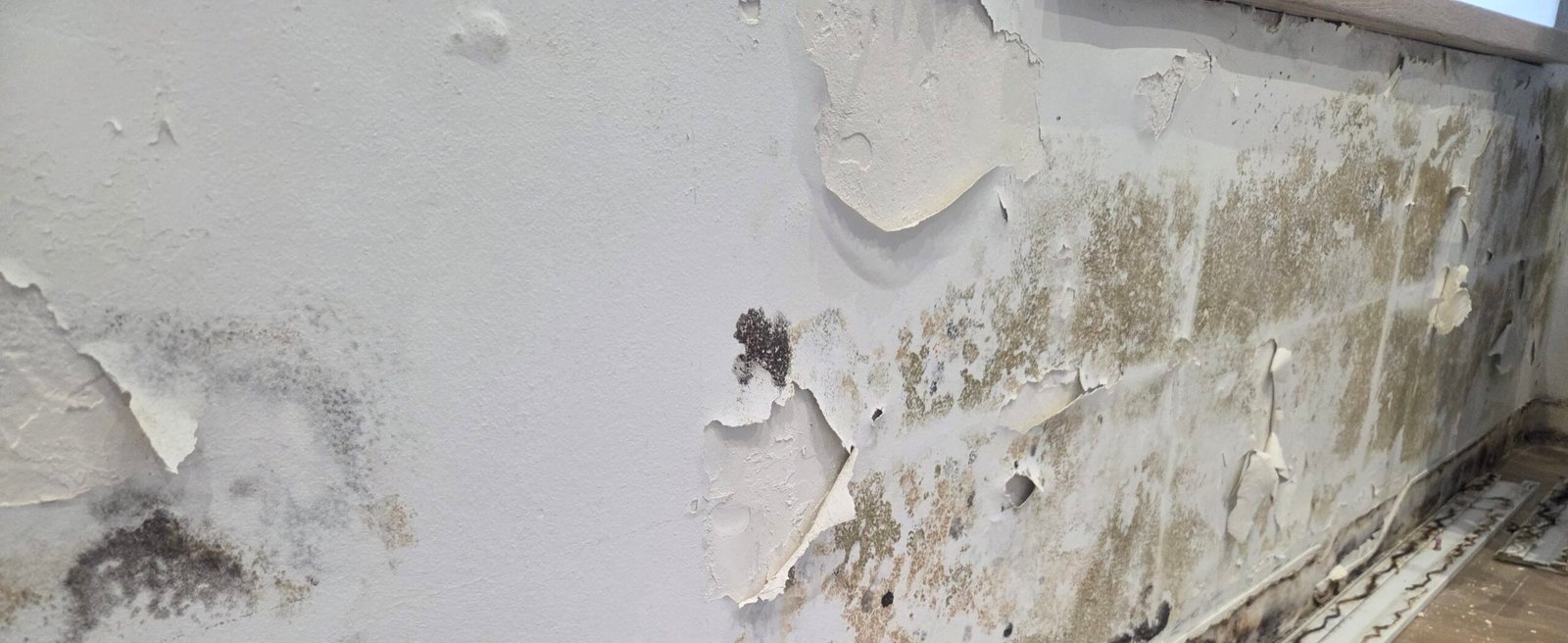 Ejemplo de deterioro de muro por humedad en inmueble