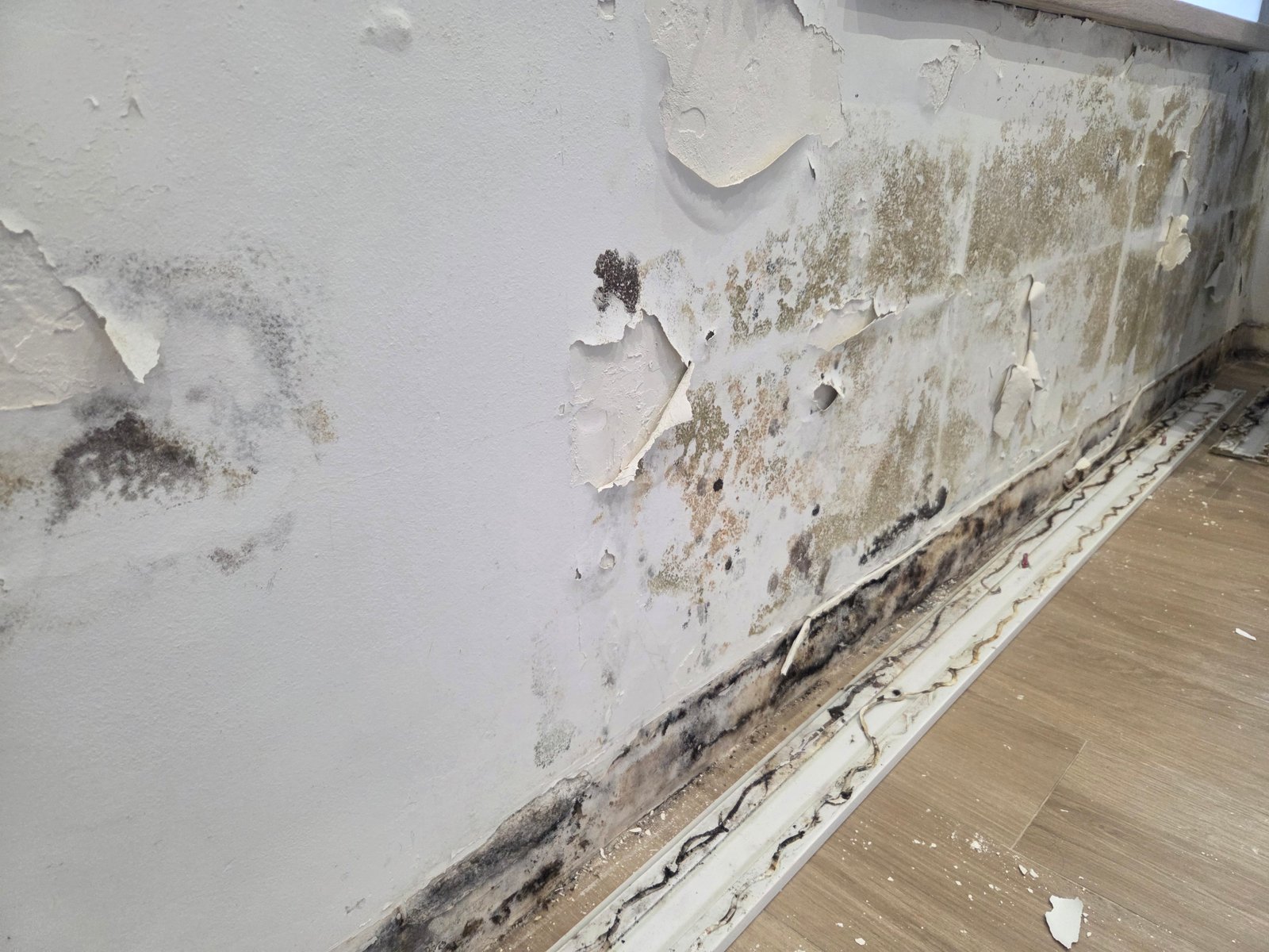 Humedad en una pared de una vivienda de Granada